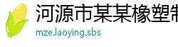 河源市某某橡塑制品运营部